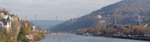 Screenshot aus: http://www.nachbarschaftsverband.de/fnp/wind/wind_beteiligung_entwurf.html Die Abbildung zeigt die Visualisierung des Nachbarschaftsverbandes Mannheim Heidelberg für die Bürgerbeteiligung im Jahre 2015. Damals sprach sich eine klare Mehrheit der teilnehmenden Bürger gegen Windkraft im Wald aus.